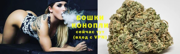 ешки Белокуриха