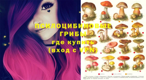 ешки Белокуриха