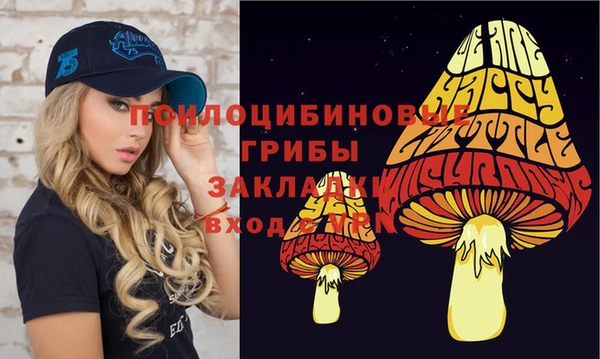 спайс Беломорск
