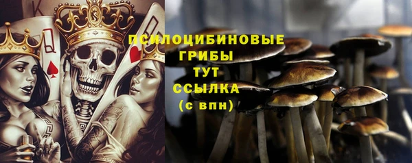 ешки Белокуриха