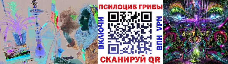 Галлюциногенные грибы Psilocybine cubensis Жиздра